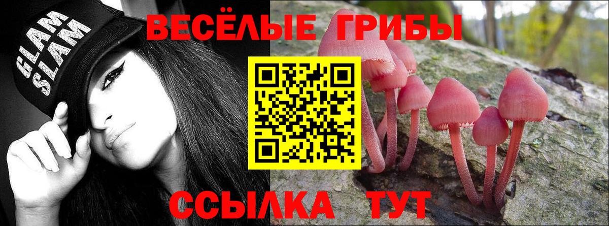 Кызыл  Галлюциногенные грибы мухоморы  Вход с VPN 