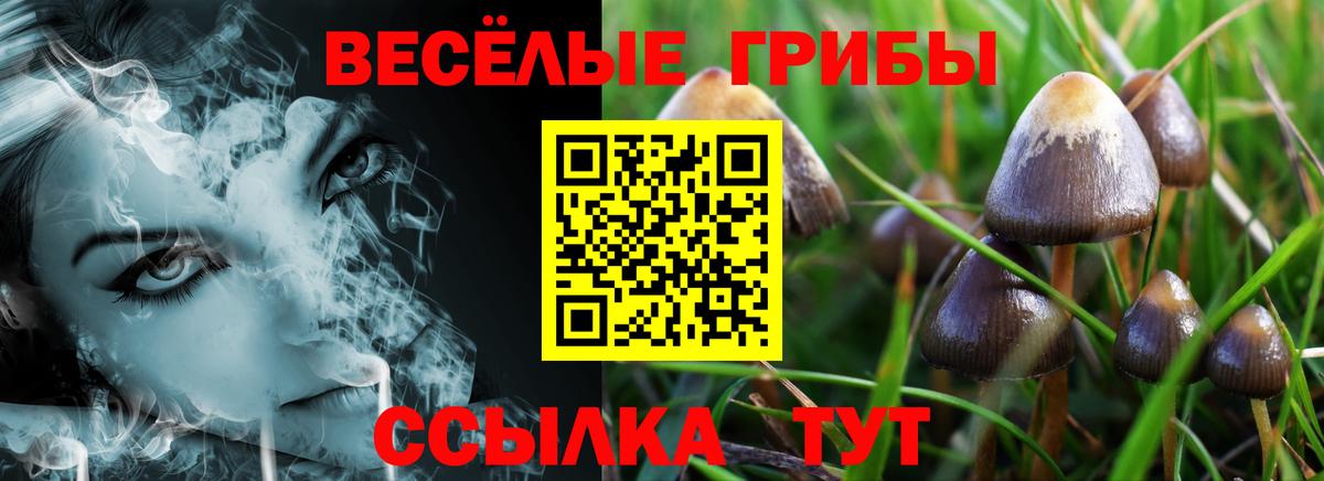 Псилоцибиновые грибы MAGIC MUSHROOMS Кызыл